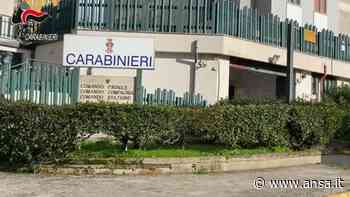 Enna, delitto Andrea Paterno': quattro allevatori in carcere - Sicilia - Agenzia ANSA