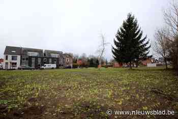 Aanleg grasperken en plaatsing speeltoestellen aan Kasteelplein uitgesteld naar het voorjaar