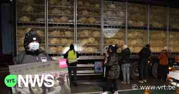 Animal Rights houdt wake aan kalkoenenslachthuis in Lendelede: "Al die kerstkalkoenen lijden" - VRT NWS