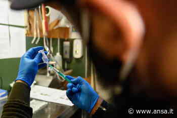 ANSA-IL PUNTO/ Covid:scuole; caccia a Capri con 500 esami - Campania - Agenzia ANSA