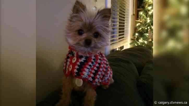 Strong wind develops Saturday morning for Calgary