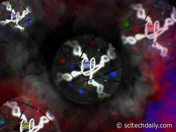 Mysterious Long-Range Four-Stranded DNA Structures Found To Play a Role in Rare Aging Disease