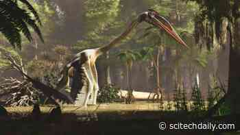 Legendary Flying Reptile: Fleshing Out the Bones of Quetzalcoatlus, Earth’s Largest Flier Ever