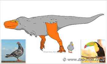 Dinosaur faces and feet may have popped with colour to entice mates