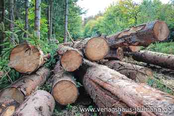 Steinen - Holzbestellung statt Versteigerung - www.verlagshaus-jaumann.de
