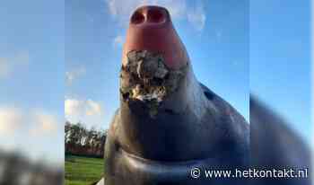 Mol in Loetbos gesloopt met zwaar vuurwerk - Kontakt