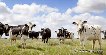 Green Tracker: 3 solutions for more sustainable operations