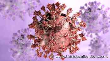 Omicron coronavirus: Lewisham and Greenwich are virus hotspots