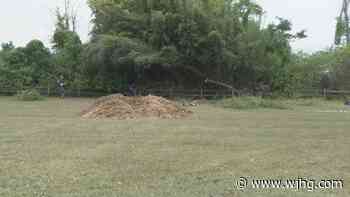 Volunteers clear park for Millville's first food forest - WJHG-TV