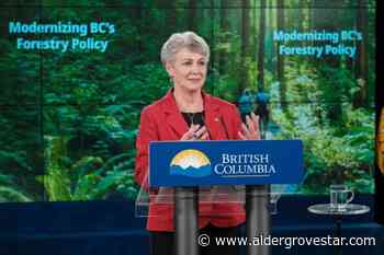 BC Forest Minister knocked to ground near Legislature; Horgan calls for witnesses – Aldergrove Star - Aldergrove Star