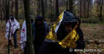 Syrians in Polish forest accuse Lukashenko’s forces of brutality - POLITICO Europe