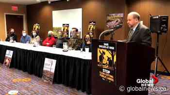 Group calling on N.S. to halt forest harvesting on crown lands - Globalnews.ca