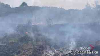 Firefighter suffers heat exhaustion in large brush fire near Colborne - Globalnews.ca