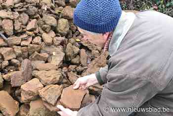 Marc krijgt steun uit onverwachte hoek nadat vandalen zijn levenswerk hebben vernield: “We konden niet anders dan actie ondernemen”