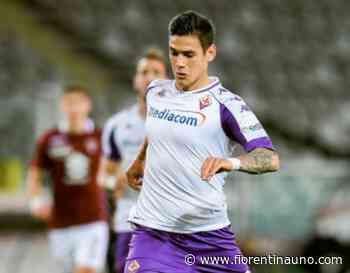 Quarta, l'argentino adesso è un punto fermo della difesa di Italiano - FiorentinaUno.com