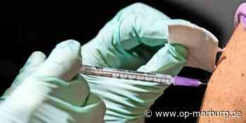 Fragen rund um die Corona-Pandemie - Großes Interesse an Beratung - Oberhessische Presse