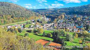 Bad Herrenalber BI: "Verkauf der Schweizer Wiese  ist nicht die Lösung der finanziellen Probleme"