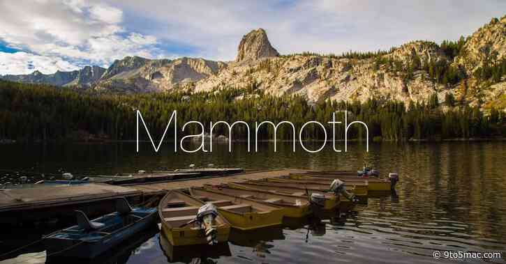 Apple renews ‘Mammoth’ trademark, hinting at potential name for macOS 13