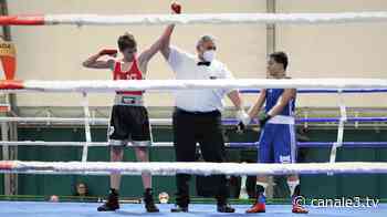 Boxe Siena Mens Sana: i biancoverdi trionfano al PalaChigi e battono gli atleti dell'Emilia-Romagna - Canale 3