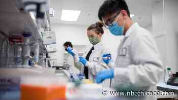 Coronavirus in Illinois: 49,668 New Cases, 266 Deaths, 509K Vaccinations Since Friday - NBC Chicago