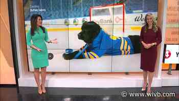 Sabres selling jerseys for Rick, the team dog