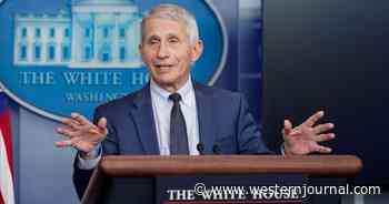 Fauci Uses Santa as Prop for Vaccine Promotion, Makes This Ridiculous Statement to the Media