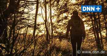 Aussteiger aus dem ultraorthodoxen Judentum finden in Dresden Orientierung - Dresdner Neueste Nachrichten