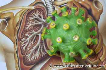 Universitätsklinikum Dresden - Coronavirus befällt laut Studie das menschliche Stresssystem - Stuttgarter Zeitung
