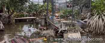 Colombie-Britannique: un vignoble inondé se fait voler ses derniers barils