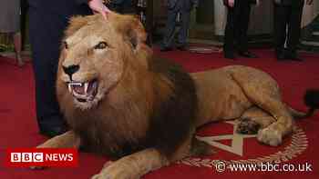 UK plan to ban animal trophies too slow - conservation groups