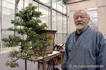 Pionier Marc (78) zoekt overnemer voor zijn befaamde kwekerij: “Niet elke boom kan een bonsai worden” - Het Nieuwsblad