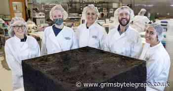 US company makes world's biggest-ever cannabis brownie - Grimsby Live