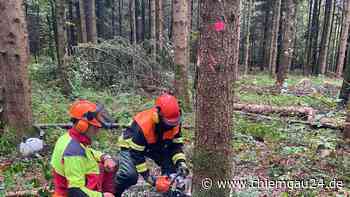 Landkreis Traunstein: Training im Umgang mit der Motorsäge – 64 Feuerwehrler trainieren deren Einsatz - chiemgau24.de