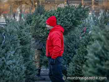 COVID updates, Dec. 10: 'Not a good idea' to have holiday gatherings of 20 people, Njoo says