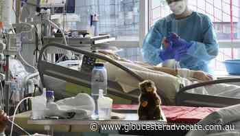 Germany mandates health care worker jabs - Gloucester Advocate