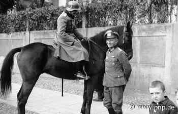 Entschieden: Matheis-Straße und Watzlikring werden nicht umbenannt - Passauer Neue Presse