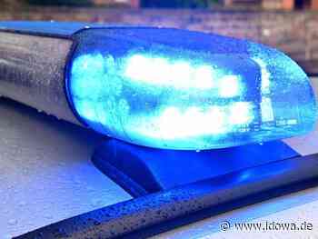 Bandendiebstahl in Supermarkt - Polizei nimmt in Passau vier Tatverdächtige fest - idowa