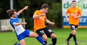 Nathan Volckerick en Avanti Stekene kunnen al drie wedstrijden niet meer winnen: “Na een gelijkspel op Tempo Overijse zou ik zeker niet van een dipje spreken” - Het Laatste Nieuws