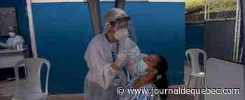 Une cyberattaque retarde des mesures anti-COVID au Brésil