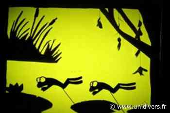 Théâtre d’ombres et autres folies Médiathèque Montaigne samedi 22 janvier 2022 - Unidivers