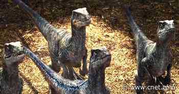 Fastest dinosaurs could have kept up with Usain Bolt, ancient footprints show     - CNET