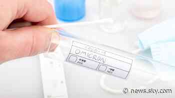 COVID-19: Omicron is by far the most worrying form of coronavirus we've seen so far - but we shouldn't be too afraid - Sky News