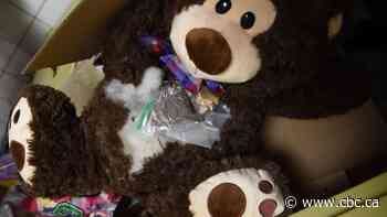Saskatoon police find fentanyl inside teddy bear