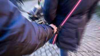 Wieder mehrere Vorfälle: Taschendiebe klauen in Tornesch Portmonee mit mehr als 1.000 Euro darin | shz.de - shz.de