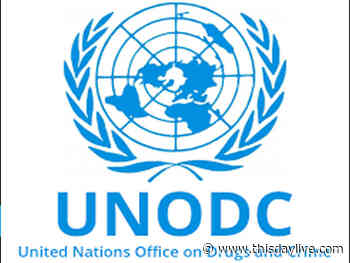 UN, FG Beam Searchlight on Gender Dimensions of Anti-corruption - THISDAY Newspapers