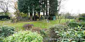 Grabeland in Sinsen: Einige Pächter gewinnen, andere verlieren - Marler Zeitung