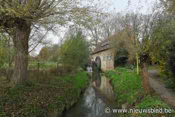 Meer dan 24.000 bomen moeten groen karakter Rand helpen behouden