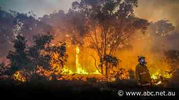 'I'm just in shock': Tour operators hit hard as fire rips through WA's premier tourist region