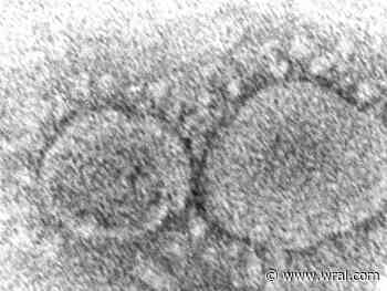 UNC-Charlotte lab confirms state's first case of coronavirus' omicron variant - WRAL.com