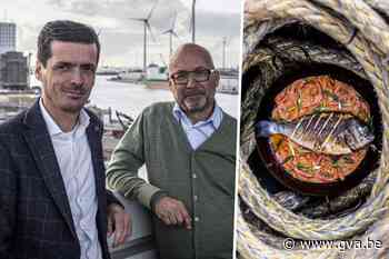 Van artisjokken op zijn Romeins tot pindasaus uit Ivoorkust: nieuw boek biedt smakelijke inkijk in de Antwerpse haven - Gazet van Antwerpen